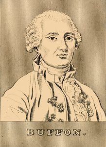 布冯（Buffon），1707-1788，1830年。 作者 不明