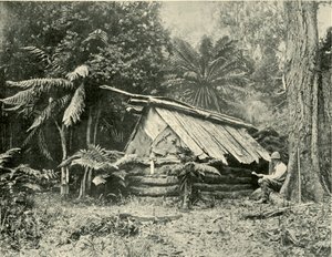布什小屋，维多利亚州丹德农山脉，1901年。 作者 不明