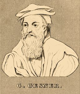 C.格斯纳，1516年至1565年，1830。 作者 不明