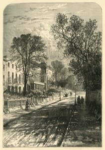 坎伯韦尔格罗夫，约1878年。 作者 不明