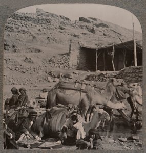 杰拉什（Jerash）的骆驼火车在以利沙喷泉（Elisha Fountain）浇水，摄于1900年 作者 不明