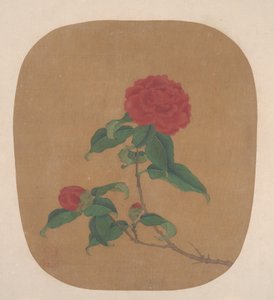 山茶花。 作者 不明