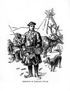 Carolus Linnaeus，18世纪瑞典植物学家，医师和动物学家，20世纪 作者 不明
