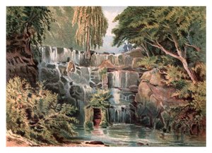 1880年在弗吉尼亚州水上的小瀑布 作者 不明