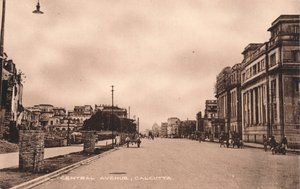 加尔各答中央大街（C1900） 作者 不明