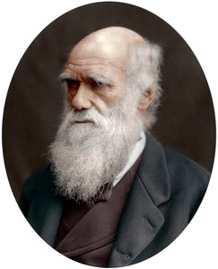 英国博物学家查尔斯·达尔文（Charles Darwin），1878年 作者 不明