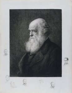 查尔斯-达尔文，英国博物学家，约1860年代 作者 不明