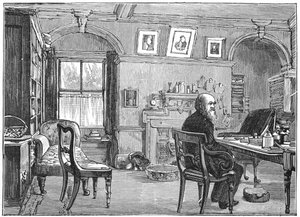 英国博物学家查尔斯·达尔文（Charles Darwin）在研究中，c1870 1887年 作者 不明