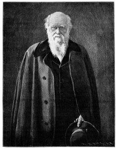 著名自然学家和思想家查尔斯·达尔文（Charles Darwin），1900年 作者 不明