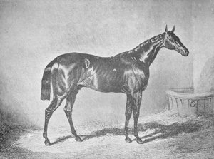 查尔斯十二世（Charles XII），1911年圣莱杰（St. Leger）获胜者 作者 不明