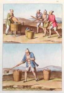 中国农业，1825-1835年 作者 不明