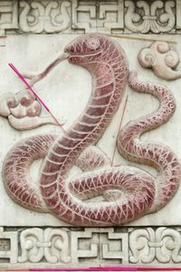 Chinese astrological sign. White cloud temple Beijing China 作者 不明