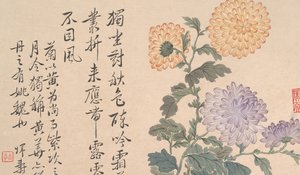菊花 作者 不明