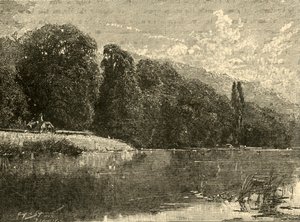 克莱夫登·伍兹（Cliefden Woods），1898年。 作者 不明