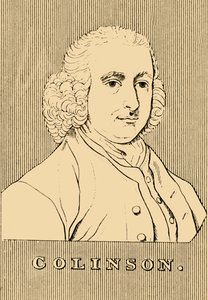 柯林森（Colinson），1694年至1768年，1830年。 作者 不明