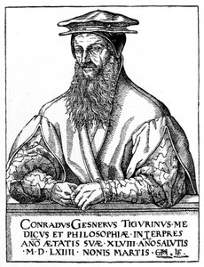 康拉德·盖斯纳（Conrad Gessner），瑞士博物学家，1887年 作者 不明