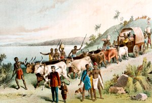 大卫·利文斯通（David Livingstone），苏格兰传教士和非洲探险家，1849年c1878年 作者 不明