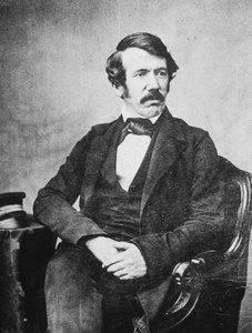 大卫·利文斯通（David Livingstone），苏格兰传教士和探险家，十九世纪 作者 不明