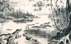大卫·利文斯通（David Livingstone）在非洲赞比西河航行，1852-1864年c1878 作者 不明
