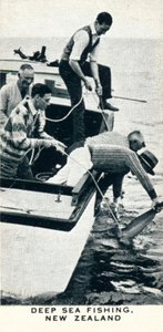 1927年，新西兰，深海捕鱼，1937年 作者 不明