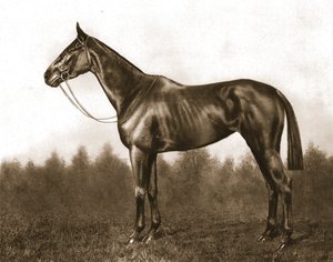 1911年的Demure。 作者 不明