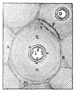 笛卡尔的宇宙模型，1668年 作者 不明