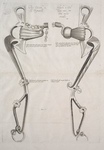 1700年代的马匹图。 作者 不明