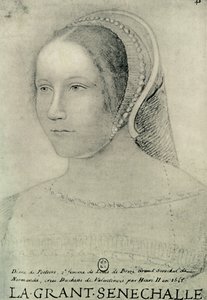 戴安娜·普瓦捷（Diane de Poitiers），1525年，1907年。 作者 不明
