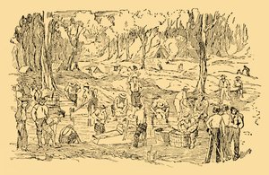 1851年在澳大利亚挖和洗黄金，c1930年。 作者 不明