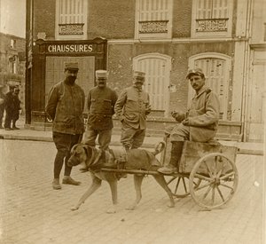 狗推车，法国，c1914-c1918 作者 不明