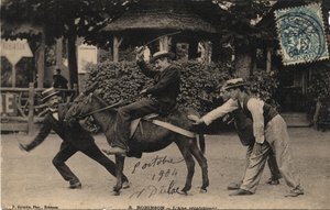 驴子特图和不听话的人 - 1904年的明信片 作者 不明