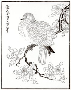 哪里，1886年 作者 不明