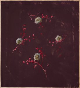 绘图，来自《圣日耳曼--第一和第二卷》，约1896年。 作者 不明