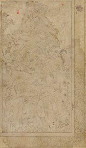 动物和植物的绘画，17世纪初。 作者 不明