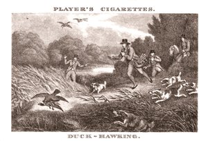 Duck-Hawking，1924年。 作者 不明