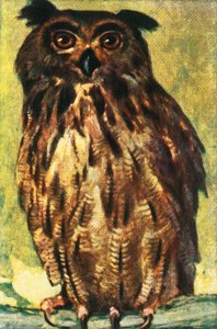 雕owl，c1928。 作者 不明