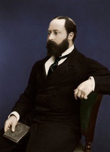 爱德华七世，然后是威尔士亲王，1876年 作者 不明