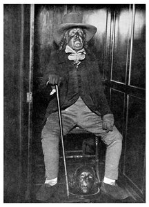 杰里米·边沁（Jeremy Bentham）的肖像，他的防腐头目，伦敦大学学院，1956年 作者 不明