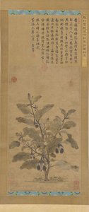 茄子，明朝时期，1368-1644。 作者 不明