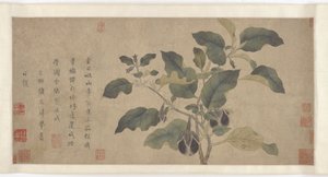 茄子，元代或明代，14世纪。 作者 不明