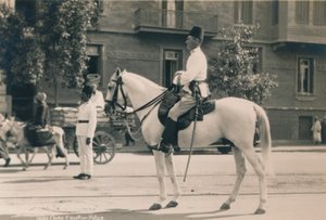 埃及警察，开罗，埃及，1936年 作者 不明