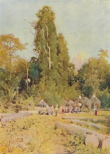 大象打桩柚木，1924年 作者 不明