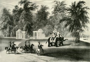 大象和护卫队（Barrackpore Park），1820年，1925年。 作者 不明