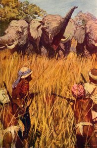 大通（Chase）象，c1850 c1912 作者 不明