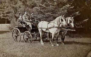 亚历山大三世皇帝1845-1894年和玛丽亚-费奥多罗夫娜皇后1847-1928年在马车上。 作者 不明