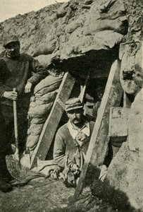 沿法国前线进入树汁的入口，第一次世界大战，1915年，c1920年。 作者 不明