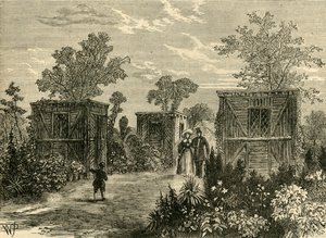 1840年进入动物园，c1876年。 作者 不明