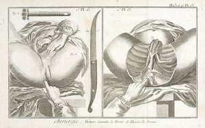 Equipment, Early-Modern 作者 不明