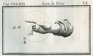 Etude sulla percezione delle dita di una mano in movimento. Engraving from “” Treat of Painting”” by Leonardo da Vinci (Leonard de Vinci) (1452-1519). “” Trattato della pittura di Lionardo da Vinci,””” Milano, Societa tipografica 作者 不明