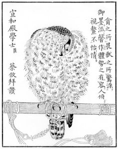 猎鹰，1886年 作者 不明